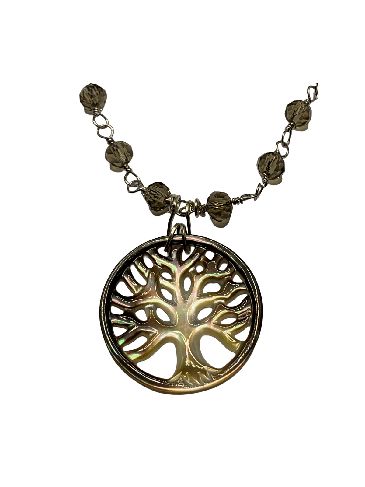 Shell Tree of Life